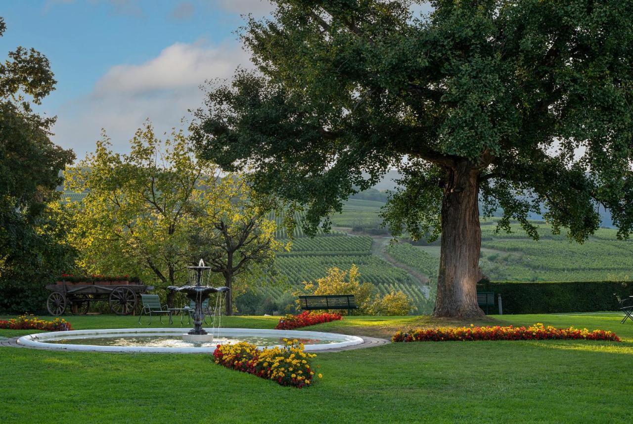 Chateau D'Isenbourg & Spa Rouffach Zewnętrze zdjęcie
