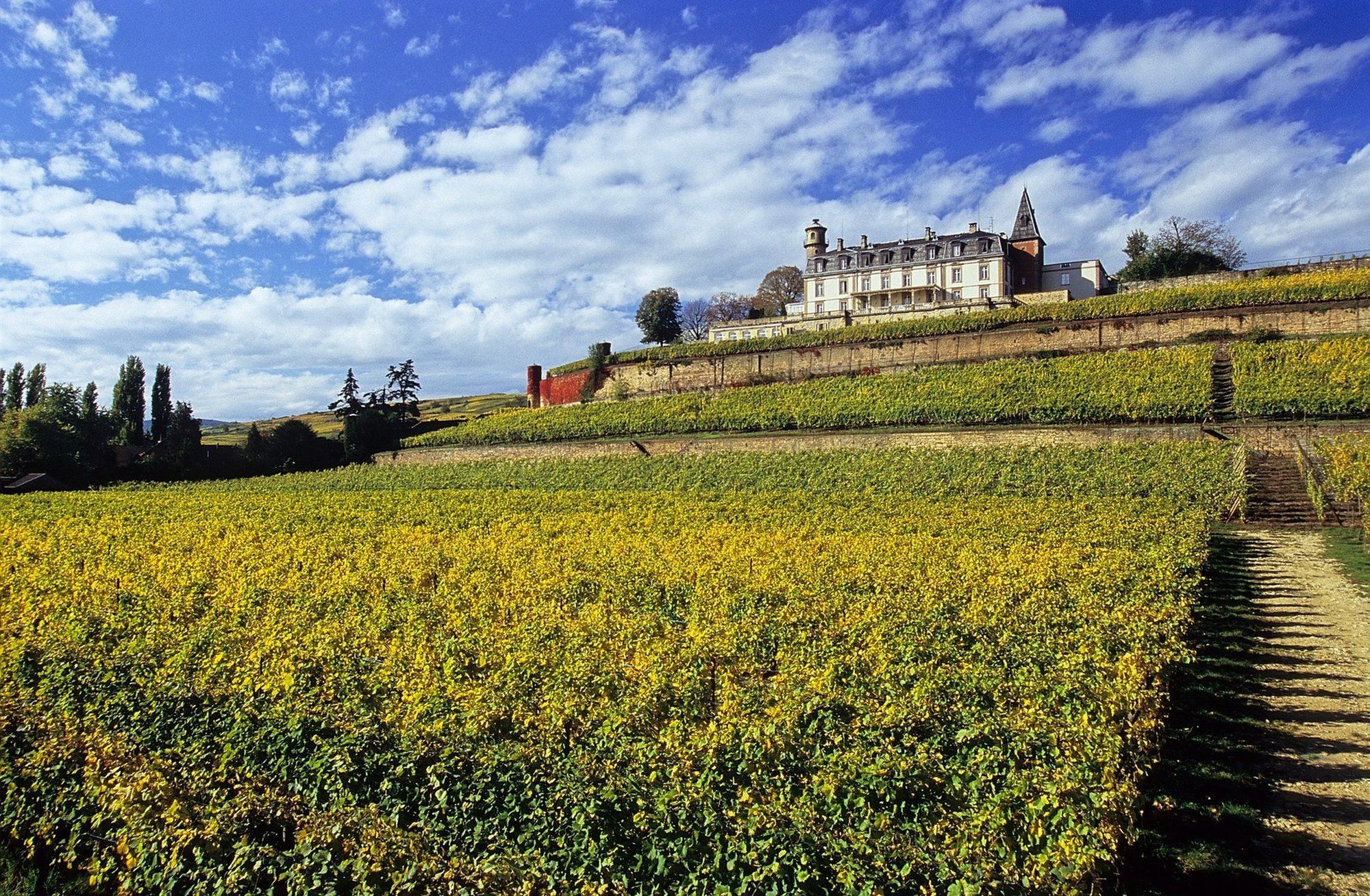Chateau D'Isenbourg & Spa Rouffach Zewnętrze zdjęcie